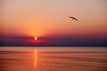 A serene sunset over a calm ocean with birds flying in the sky. The sun dips below the horizon,...