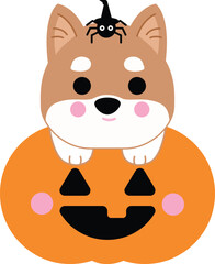 Shiba dog halloween