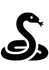 Fototapeta premium Snake SVG, Reptile SVG, Snake Silhouette SVG, Python SVG, Anaconda SVG, Crocodile SVG, Skin SVG, Dangerous Animals SVG, Snake Clipart, Snake Cut file for Cricut, Tattoo Design