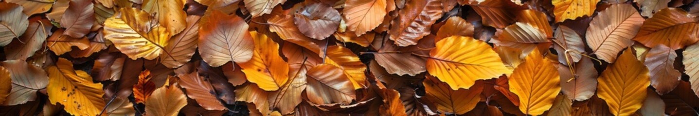 autumn leaves background.