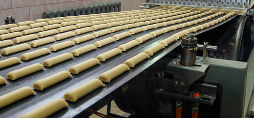 Mass production of bread rolls in an industrial bakery conveyor belt