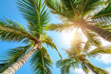 Obraz premium Tranquil tropical scene clear blue sky, fluffy white clouds, perfect weather emphasized