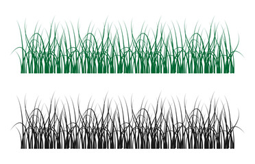 green grass and grass silhouette