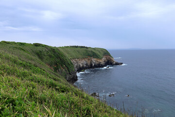 城ヶ島の自然で初夏の岬