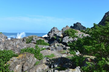 Fur Seal Pups osunbathing on the warm rocks