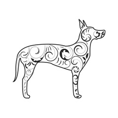 Great Dane Dog Silhouette with Ornament. Animals and pets concept vector
