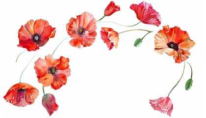 A beautiful watercolor painting of red poppies
