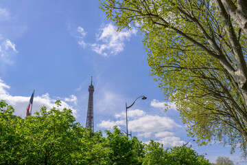 Tour Eiffel au milieu des arbres sous un ciel bleu &agrave; Paris