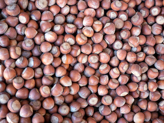 close-up black sea Turkish hazelnuts in large quantity,