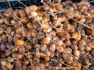 candied fresh Tunisian dates at the date seller,