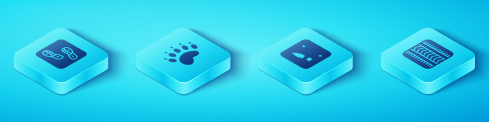 Set Isometric Human footprints shoes, Bear paw, Tire track and icon. Vector