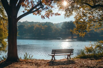 The lakeside path bathed in the warm glow of the setting sun with the bench, highlighting the serene harmony between nature and water