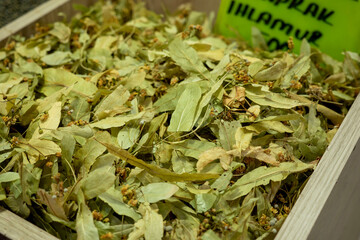 Close-up of medicinal linden plant and its flowers,