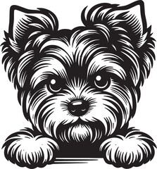 Yorkshire Terrier Dog Peeking Vector Illustration