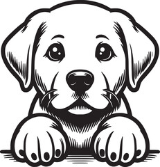 Labrador Dog Peeking Vector Illustration