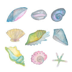 sea shells of different colors and sizes set watercolor illustration isolated on white background base for textile design, stickers, cards, banners.