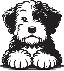 Old English Sheepdog Peeking Vector Illustration
