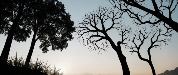 Tree nature background with abstract paper cut out or 