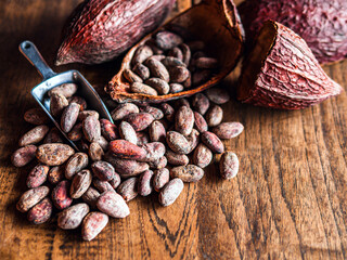 Brown cocoa beans and dry cacao pod  on a vintage wooden table.
