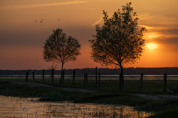 Zachód słońca nad rozlewiskiem wiosną © M