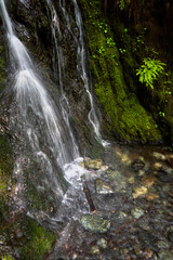 A small waterall cascades down a dark cliff into a stream bed with colorful rocks amongst lush moss.