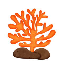 Naklejka premium coral decoration
