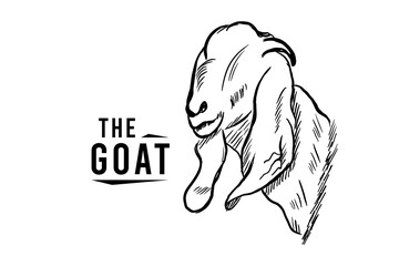 Goat line sketch logo in engraving style, hand drawn black and white vector illustration