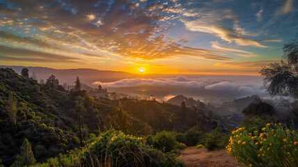 Los Angeles Morning Sunrise View