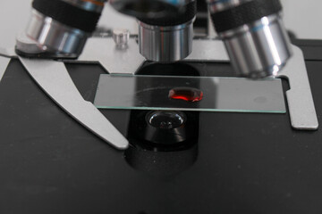 Research and innovation in a laboratory full of scientific formulas