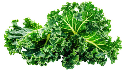 Obraz premium Lettuce (Kale) isolated on transparent white with background PNG