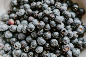 Bowl filled with fresh blueberries