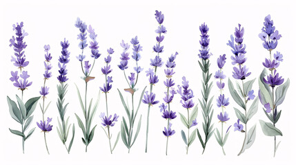 Naklejka premium Watercolor hand drawn floral wreath isolated on white background