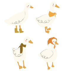 4 ducks  in spring  time