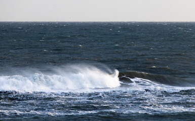Ocean waves near the shore