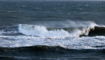Ocean waves near the shore