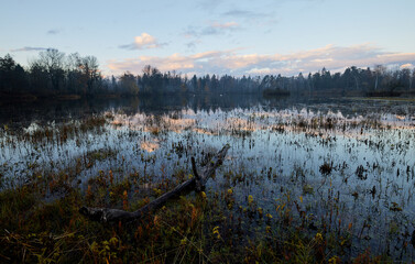 Moody autumn nature at the river of Isar in Bavaria Germany