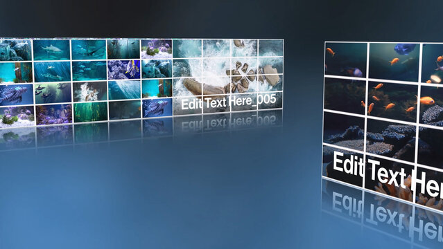 3D Grid Media Reveal