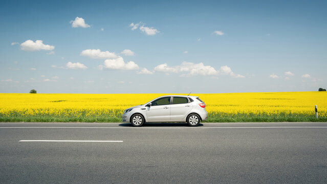 Silver KIA Rio in parked front of endless blooming rapeseed field. Weekend roadtrip with compact hatchback. Rivne region, Ukraine - May 01 2014.