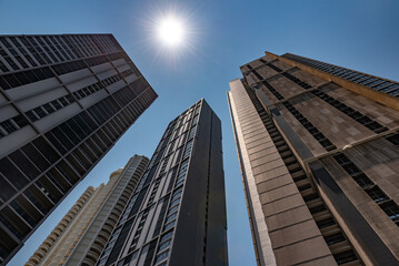 Fototapeta premium Exterior of high risers and trees silhouetted against a vibrant sunset