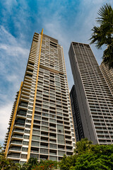 Obraz premium Exterior of high risers and trees silhouetted against a vibrant sunset