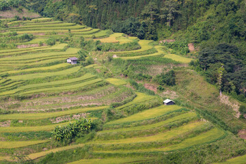 Aerial view of the rice terraces in Mu Cang Chai, Vietnam.