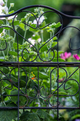 a bird perched on a fence next to a bush of flowers