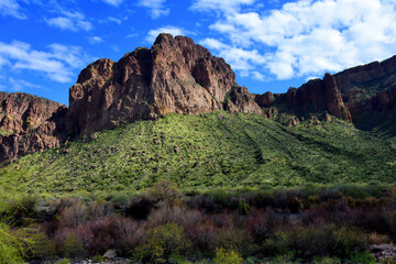 Salt River Recreation Area Arizona