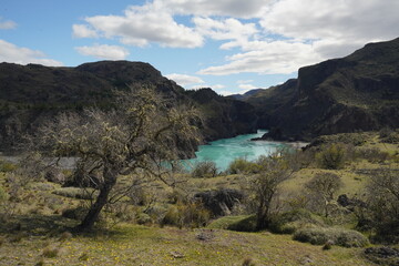 Scenic view of a river in a green valley in Chile