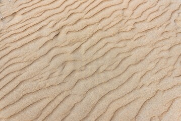 Wave tracks on the North Sea beach