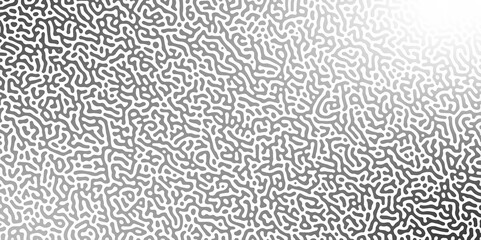 Abstract truing organic wallpaper Turing reaction diffusion monochrome seamless pattern with chaotic motion. Generative algorithm psychedelic background. Reaction-diffusion or truing pattern formation