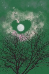 Naklejka premium moon and clouds