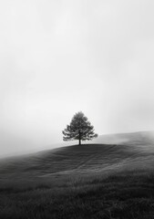 Lonely Tree on a Hilltop in the Fog