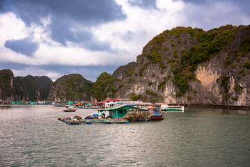Obraz premium Floating fishing village in sea bay in Vietnam, boats and islands
