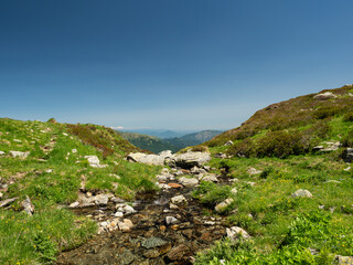 A stream of water flows through a rocky area with grass and flowers. The water is clear and the grass is lush and green.